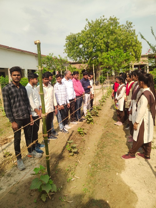 Sarvodaya P.G. College